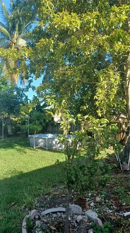 15724 SW 304th Terrace Homestead FL 33033