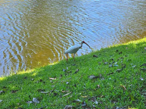 1711 SW 22nd Street Boynton Beach FL 33426