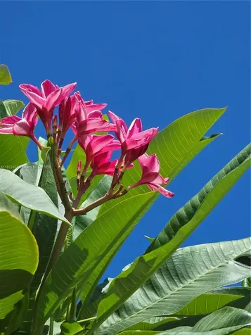 1711 SW 22nd Street Boynton Beach FL 33426