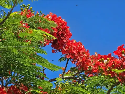 1711 SW 22nd Street Boynton Beach FL 33426