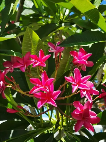 1711 SW 22nd Street Boynton Beach FL 33426