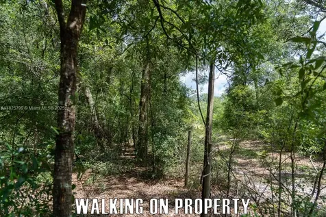 Old Fanning Road Other City - In The State Of Florida FL 32693