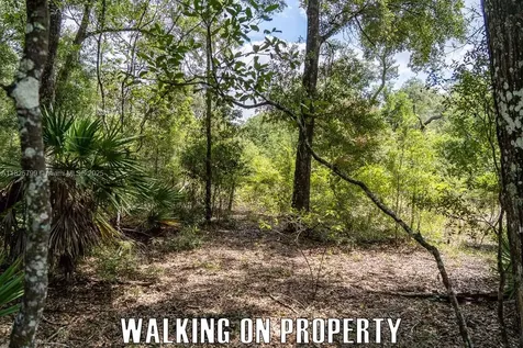 Old Fanning Road Other City - In The State Of Florida FL 32693