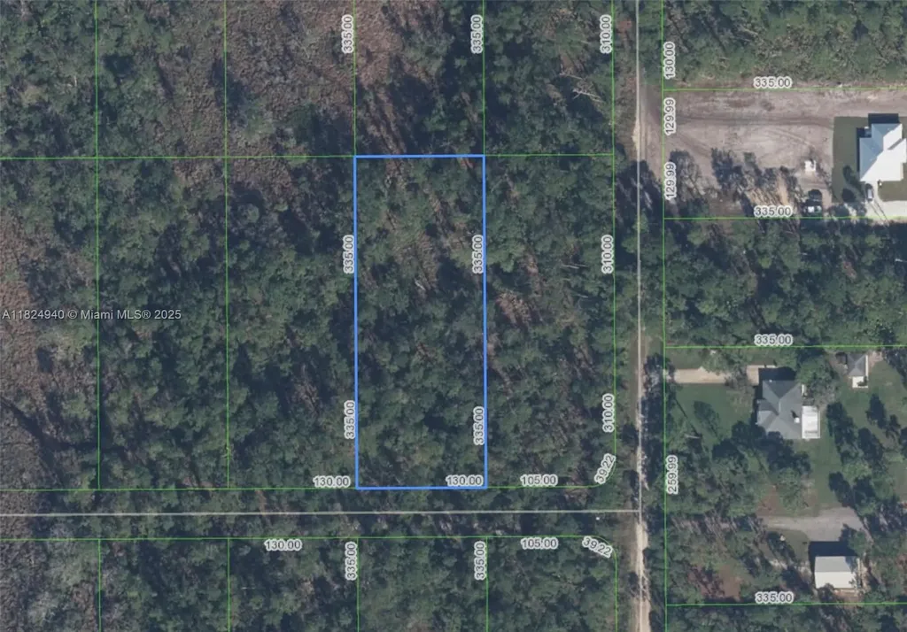 910 Iris Avenue Sebring FL 33875