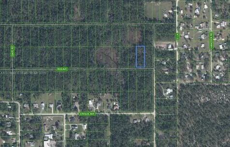 910 Iris Avenue Sebring FL 33875