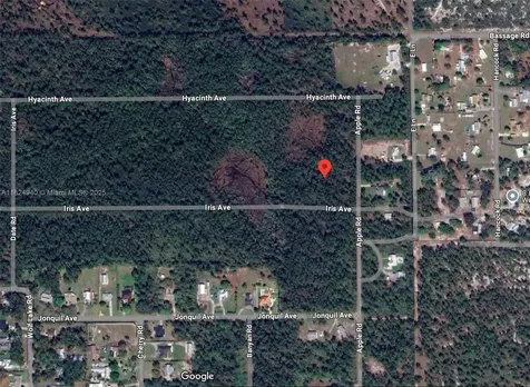 910 Iris Avenue Sebring FL 33875