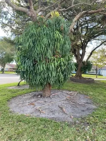 14861 SW 149th Street Miami FL 33196