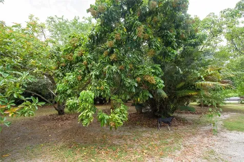 20350 SW 182nd Avenue Miami FL 33187