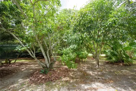 20350 SW 182nd Avenue Miami FL 33187