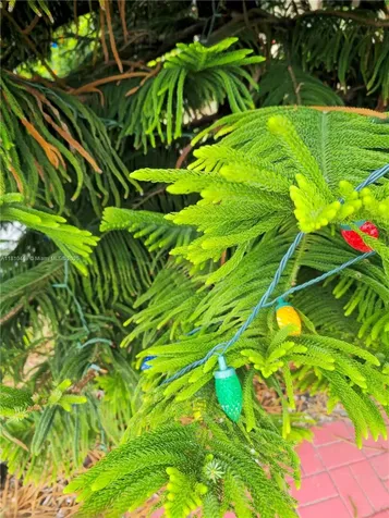 22374 SW 57th Circle Boca Raton FL 33428