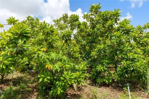 18820 SW 316th Street Homestead FL 33030