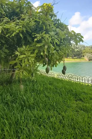 1057 NE 42nd Avenue Homestead FL 33033