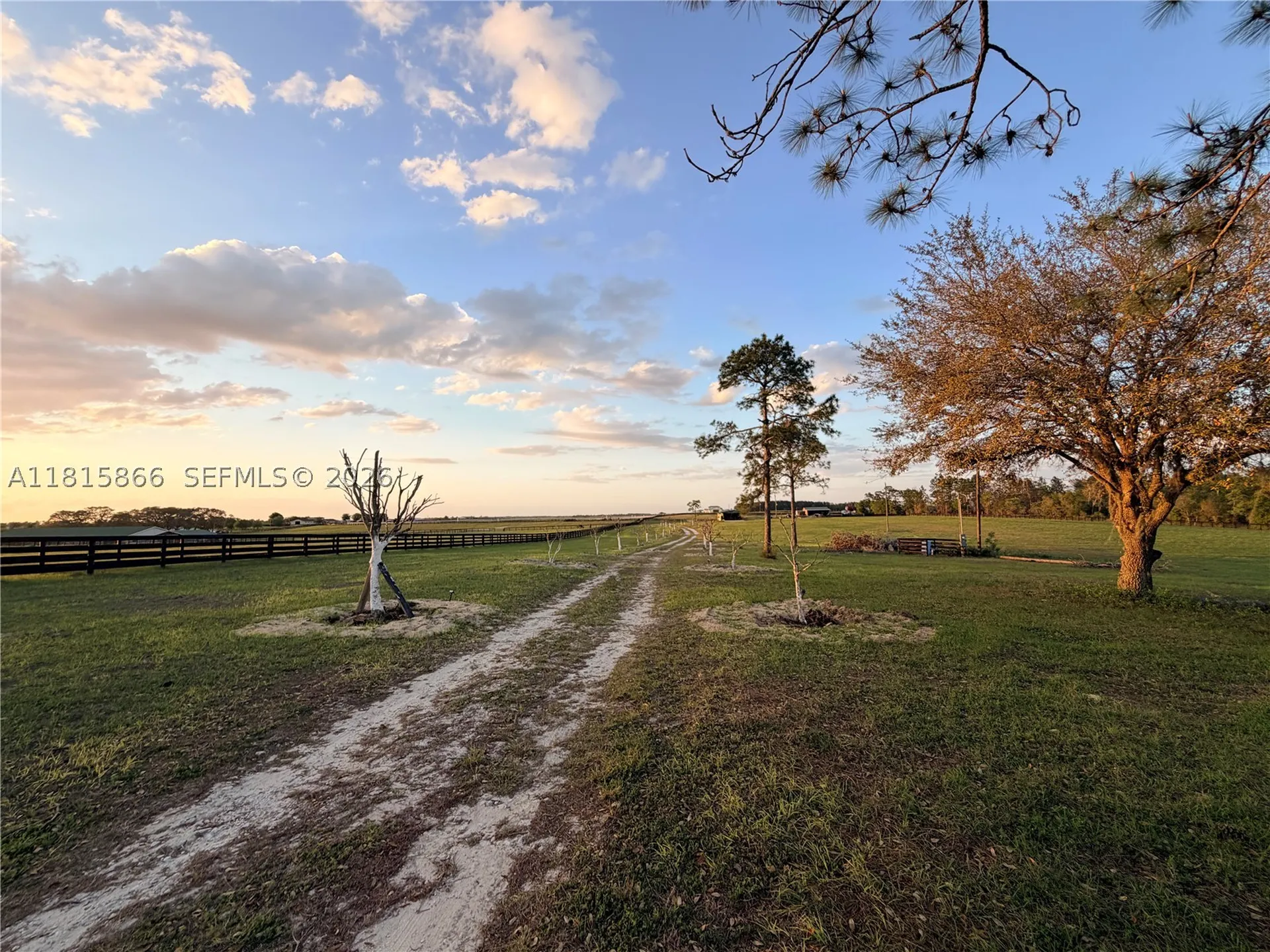 12451 NE 20th Street Other City - In The State Of Florida FL 32696