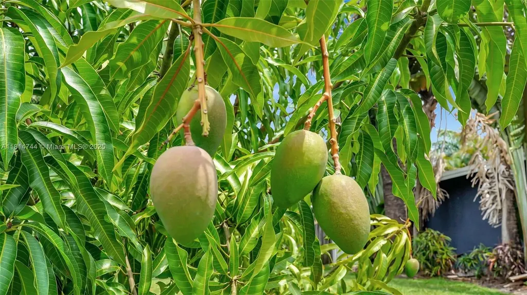 2700 SW 34th Avenue Fort Lauderdale FL 33312