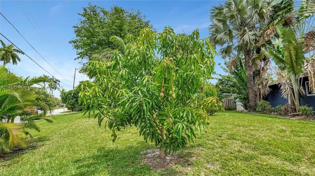 2700 SW 34th Avenue Fort Lauderdale FL 33312