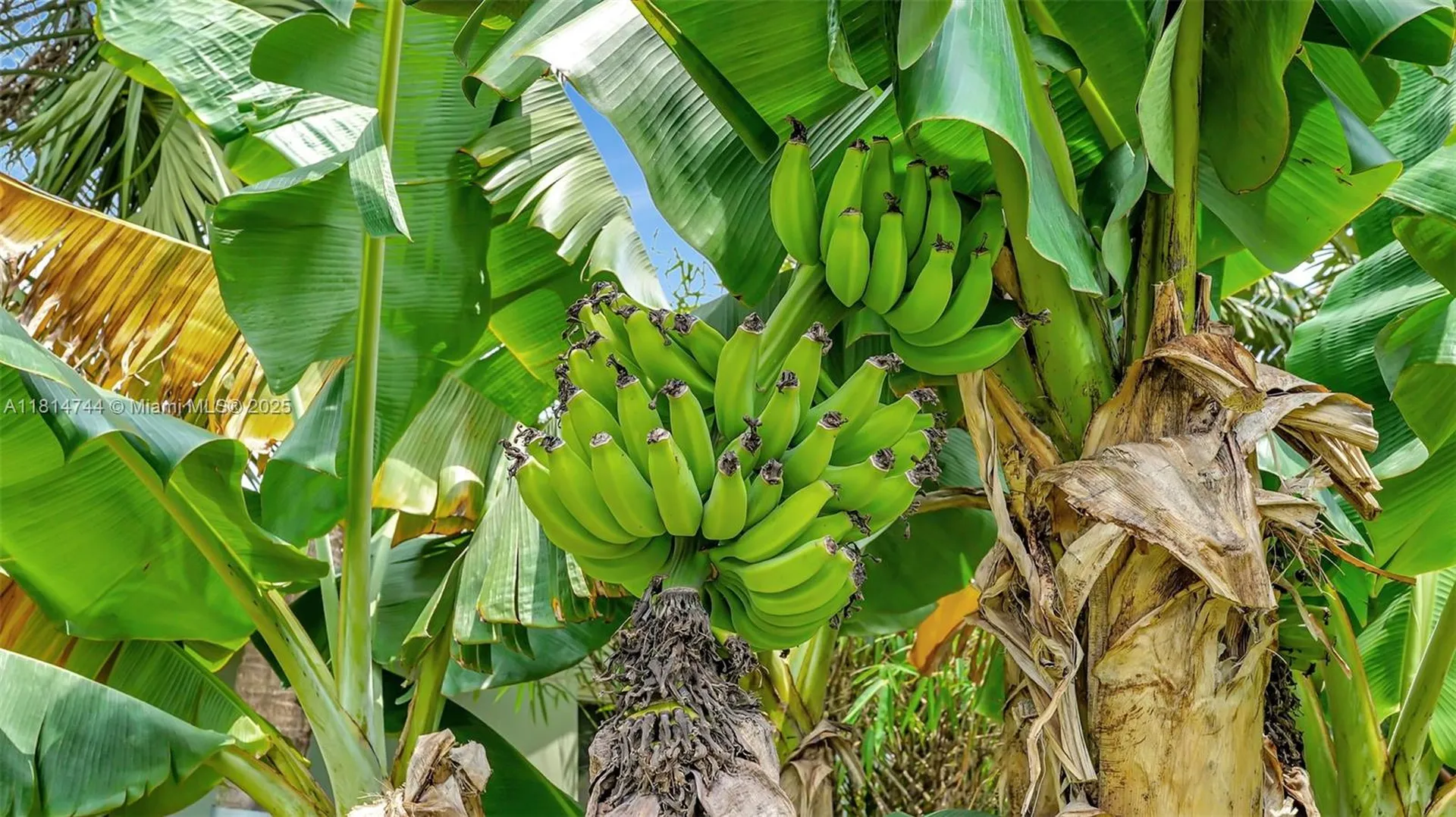 2700 SW 34th Avenue Fort Lauderdale FL 33312