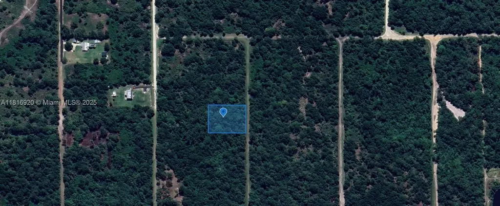 2844 W Twilley Avon Park FL 33825