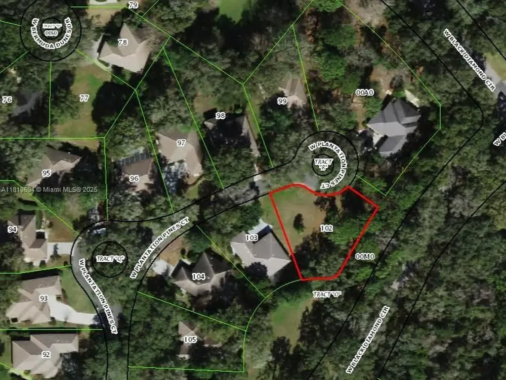 2940 W Plantation Pines Court Other City - In The State Of Florida FL 34461