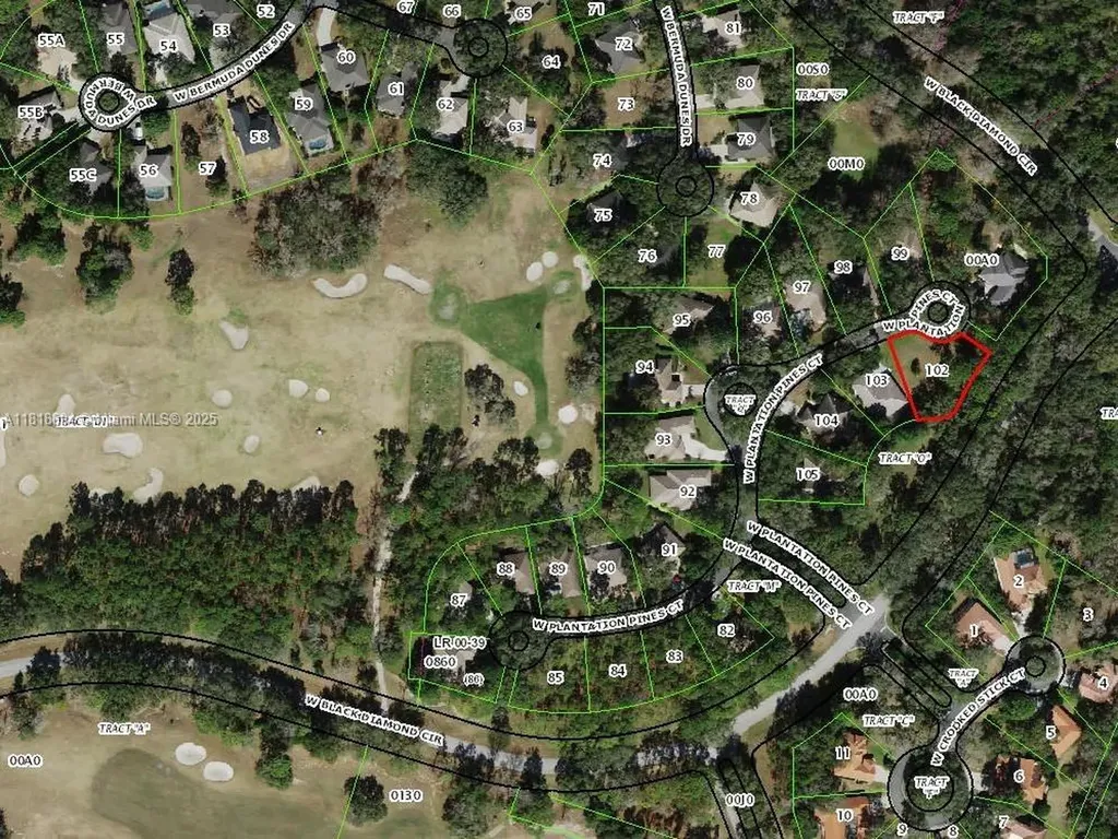 2940 W Plantation Pines Court Other City - In The State Of Florida FL 34461