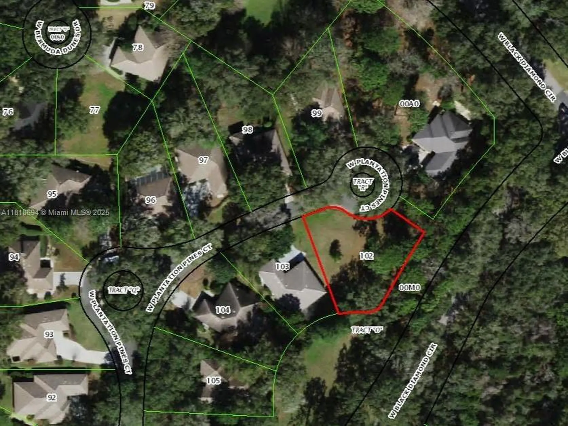 2940 W Plantation Pines Court Other City - In The State Of Florida FL 34461