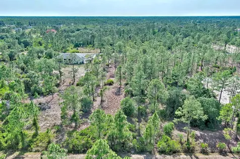 317 Fitch Avenue Lehigh Acres FL 33936