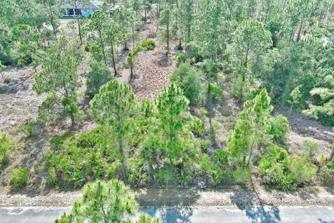 317 Fitch Avenue Lehigh Acres FL 33936