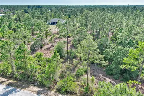 317 Fitch Avenue Lehigh Acres FL 33936