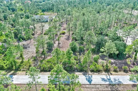 317 Fitch Avenue Lehigh Acres FL 33936
