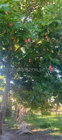 3161 NW 5th Street Lauderhill FL 33311