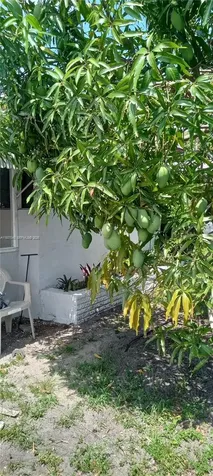 3161 NW 5th Street Lauderhill FL 33311