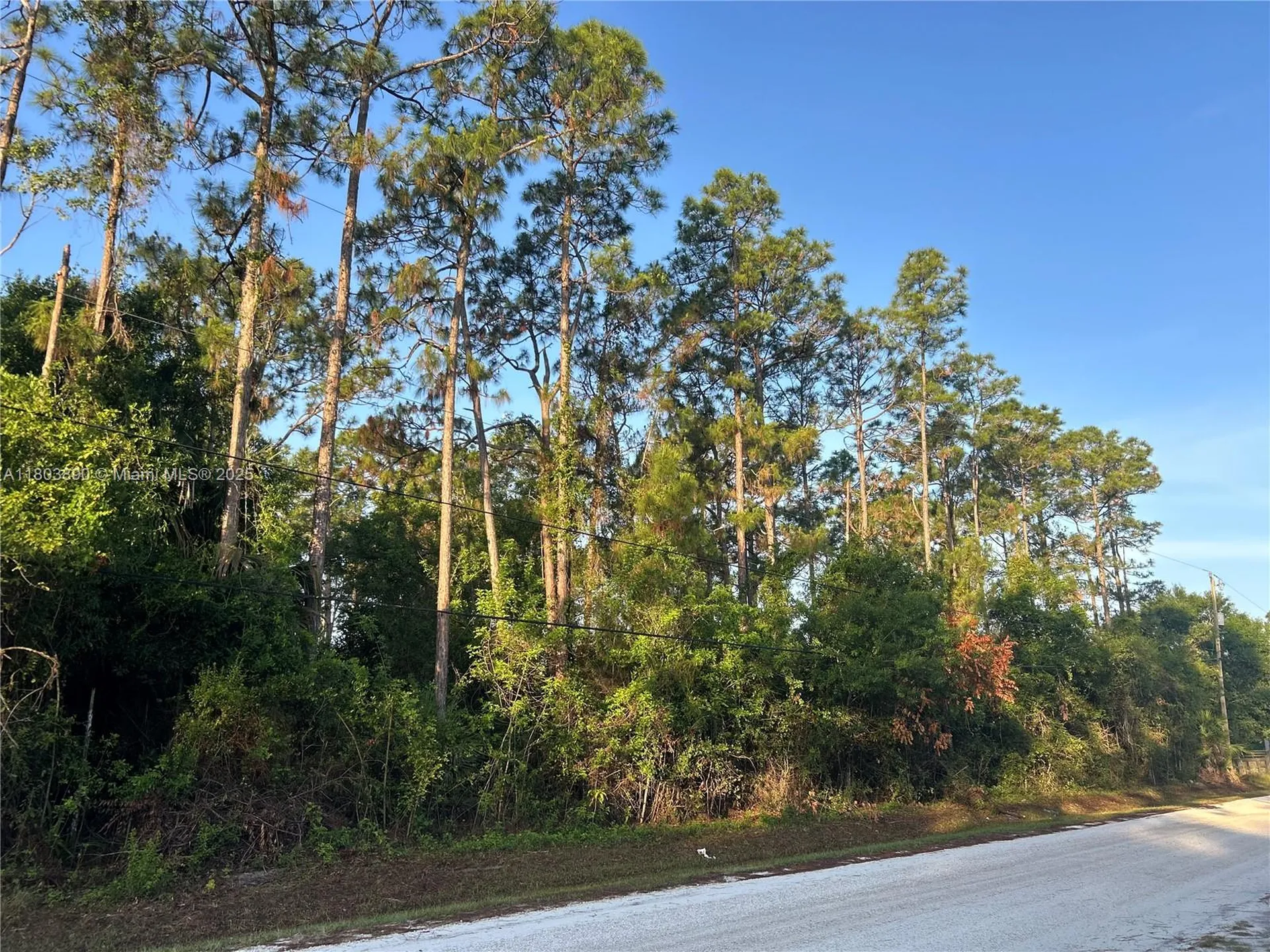 17354 75th Place N Loxahatchee FL 33470