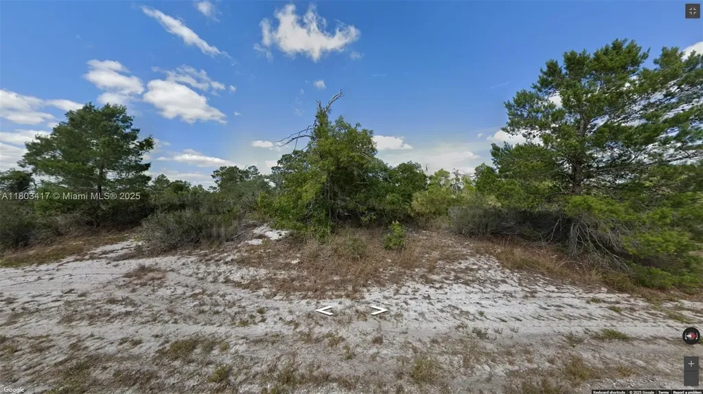341 NE Galapagos Avenue Lake Placid FL 33852