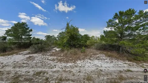 341 NE Galapagos Avenue Lake Placid FL 33852
