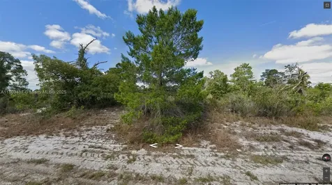 341 NE Galapagos Avenue Lake Placid FL 33852