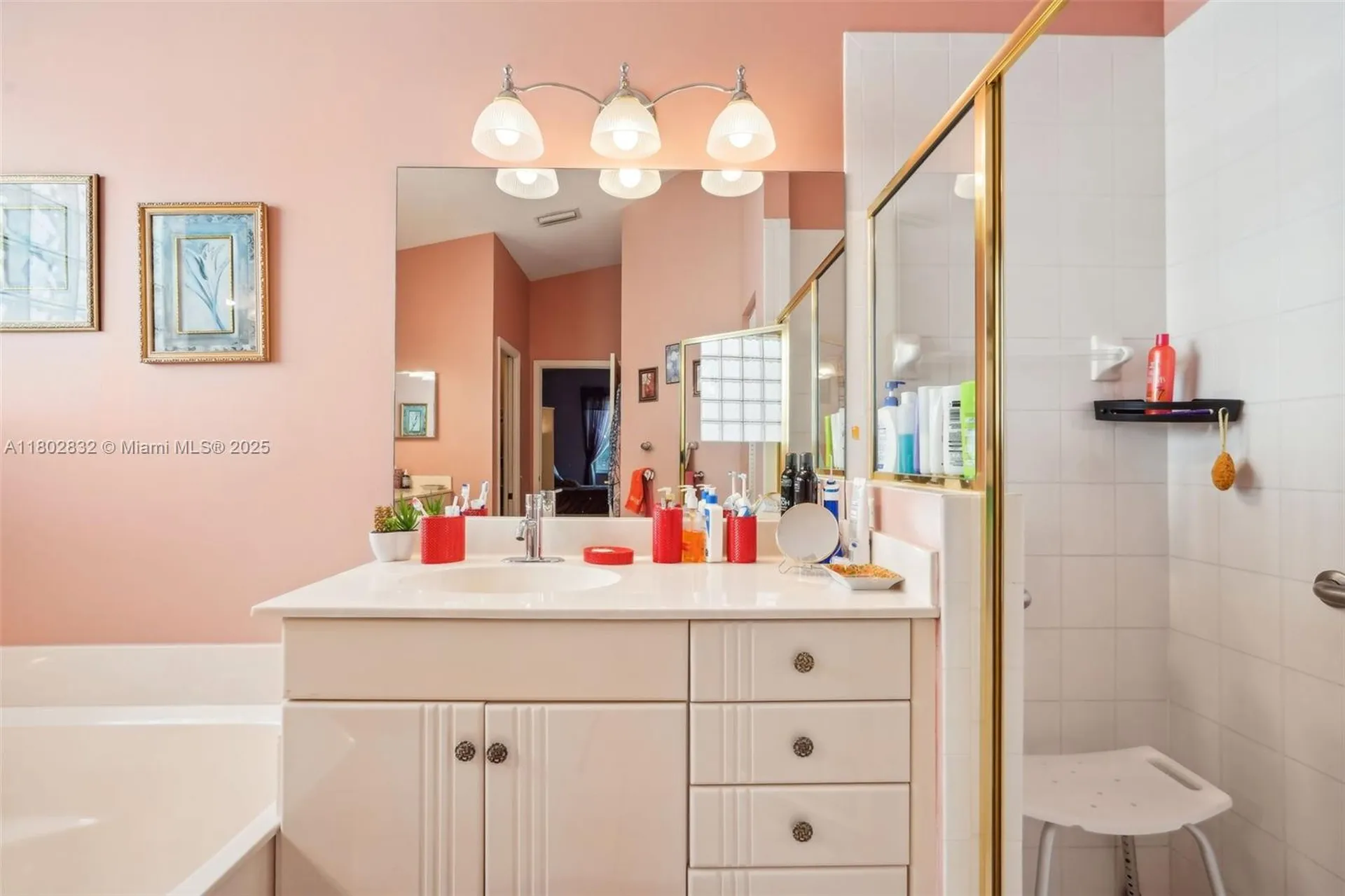 11672 NW 13th Manor Coral Springs FL 33071