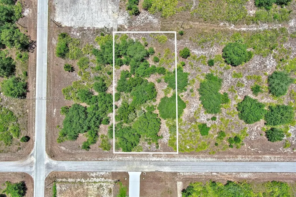 603 Fitch Avenue Lehigh Acres FL 33972