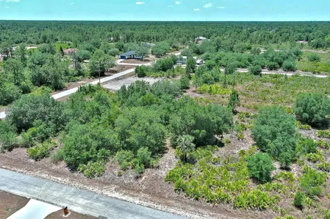 603 Fitch Avenue Lehigh Acres FL 33972