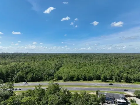 Highway 19 Other City - In The State Of Florida FL 32680