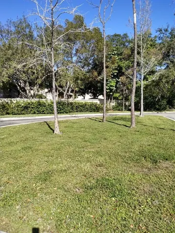 8191 Wiles Road Coral Springs FL 33067