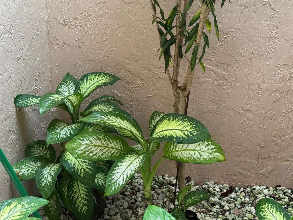 8204 Summerbreeze Lane Boca Raton FL 33496