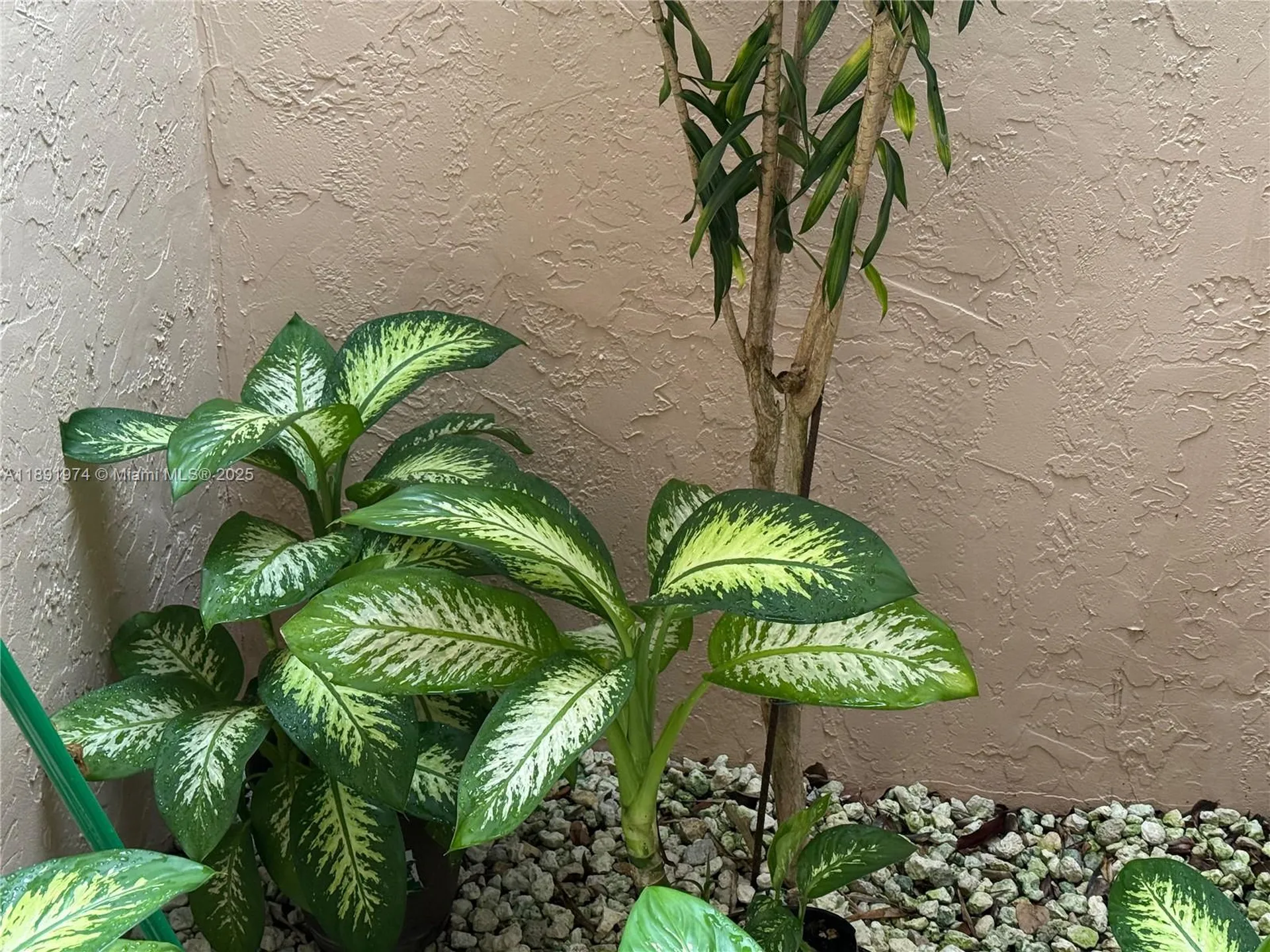 8204 Summerbreeze Lane Boca Raton FL 33496