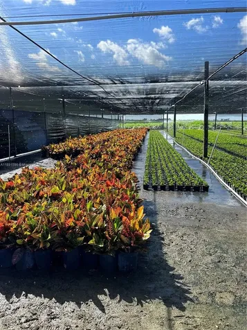Krome Homestead FL 33034