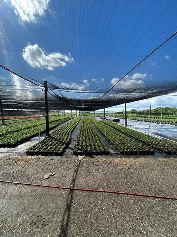 Krome Homestead FL 33034