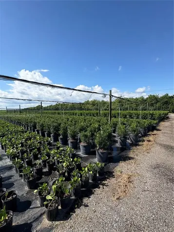 Krome Homestead FL 33034