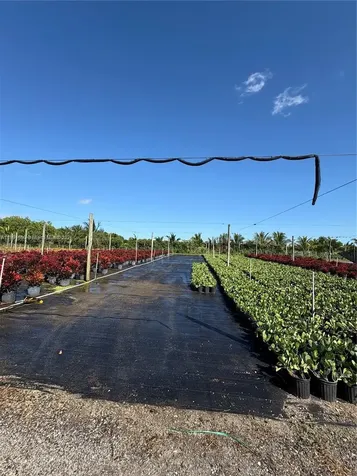 Krome Homestead FL 33034