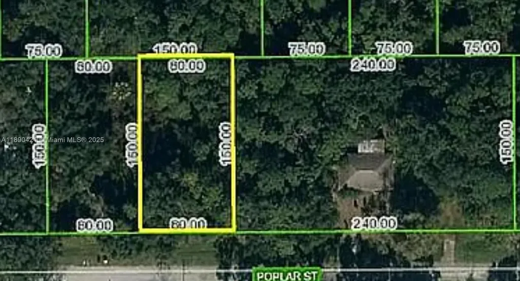 1508 Poplar Street Lake Placid FL 33852