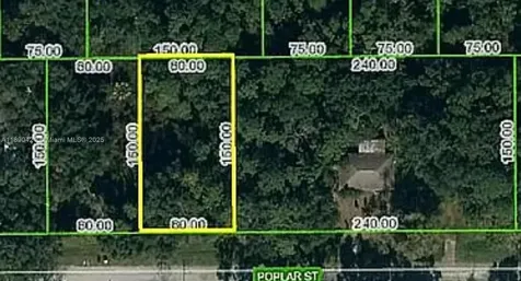 1508 Poplar Street Lake Placid FL 33852