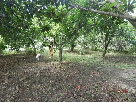 18760 SW 238th Street Homestead FL 33031