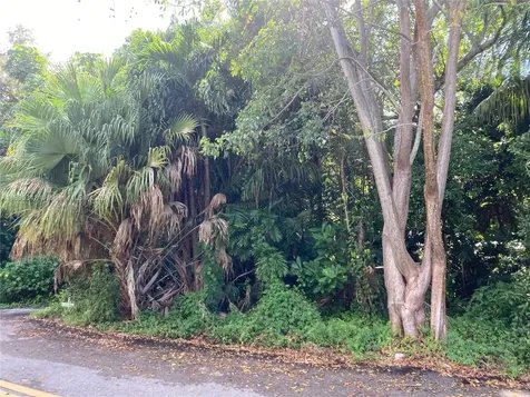 6600 SW 64th Court South Miami FL 33143