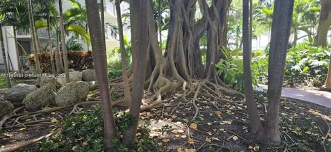 650 NE 64 Miami FL 33138